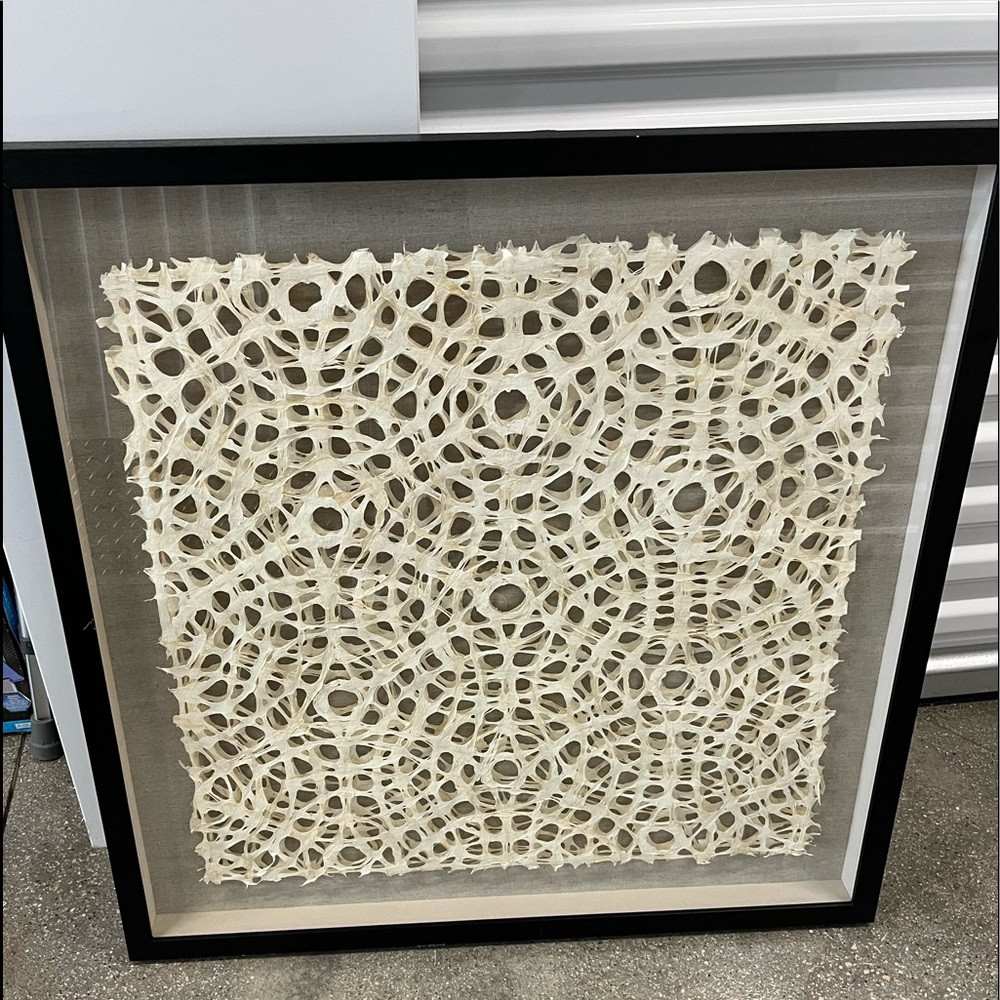 Crate and Barrel Natural Circles Paper Wall Art